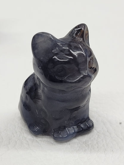 Cute cat/kitty sitting - Volcano Agate