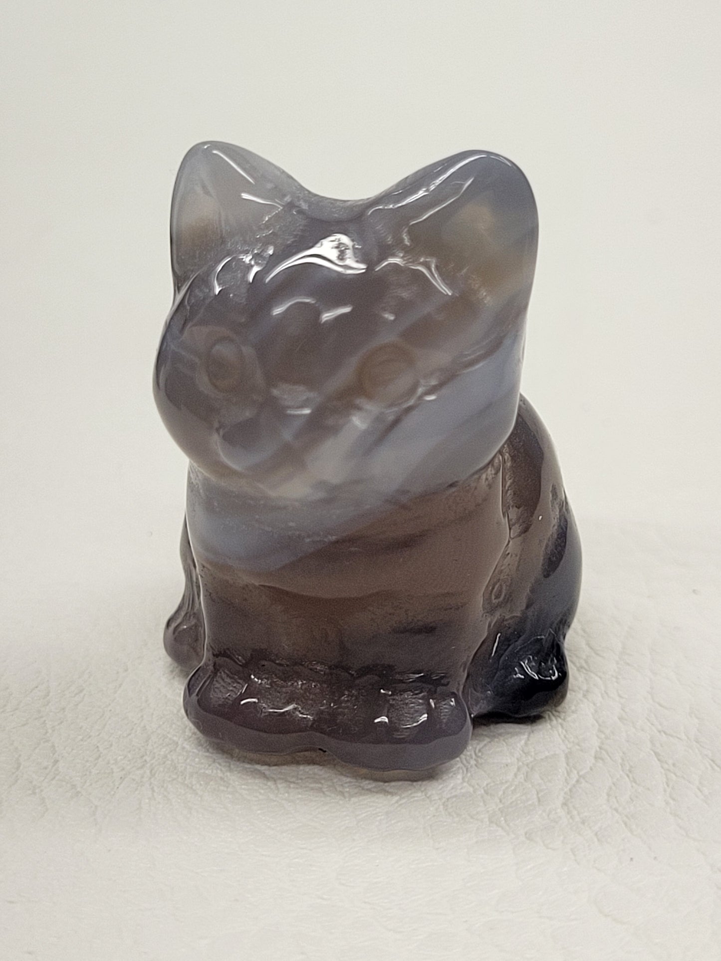 Cute cat/kitty sitting - Volcano Agate