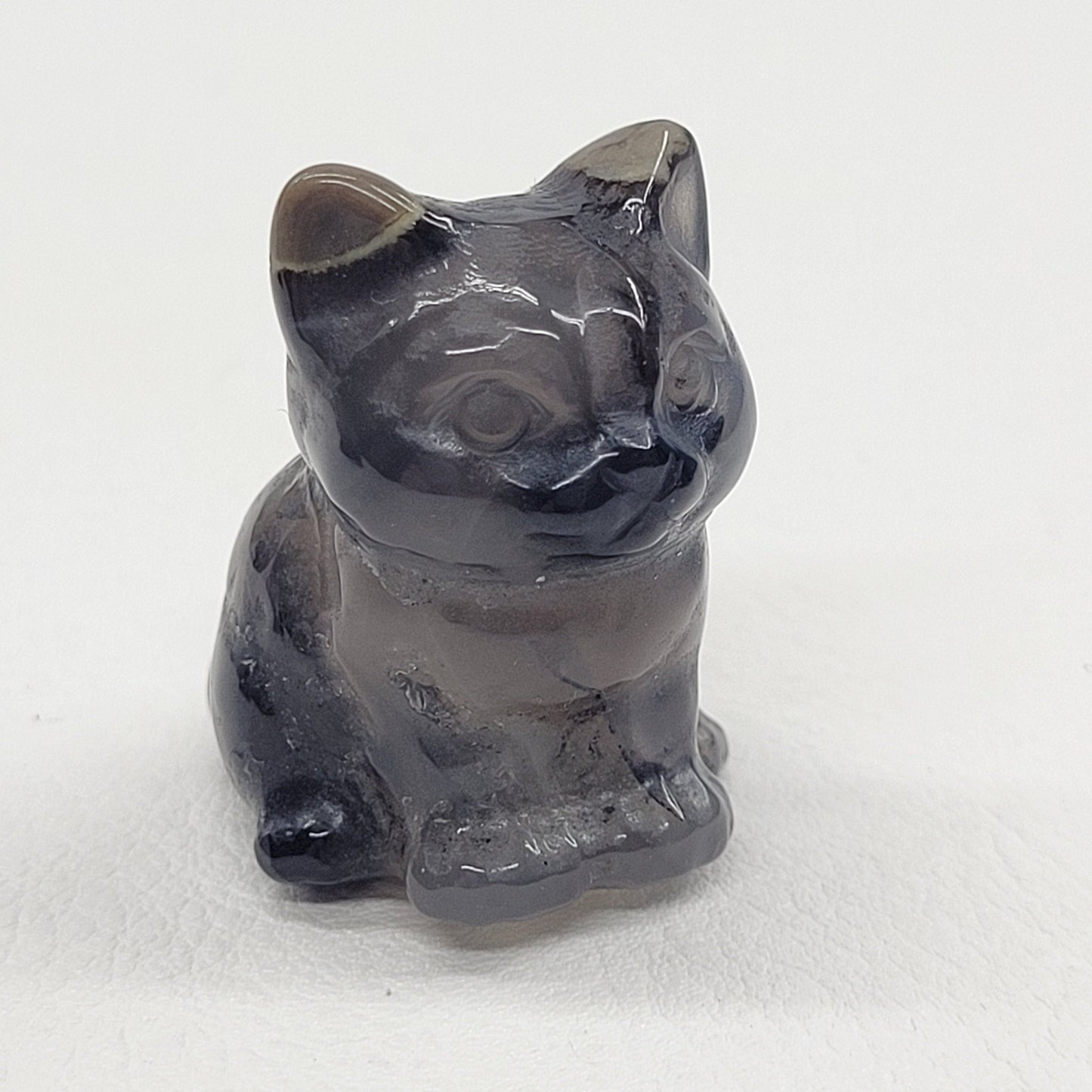 Cute cat/kitty sitting - Volcano Agate