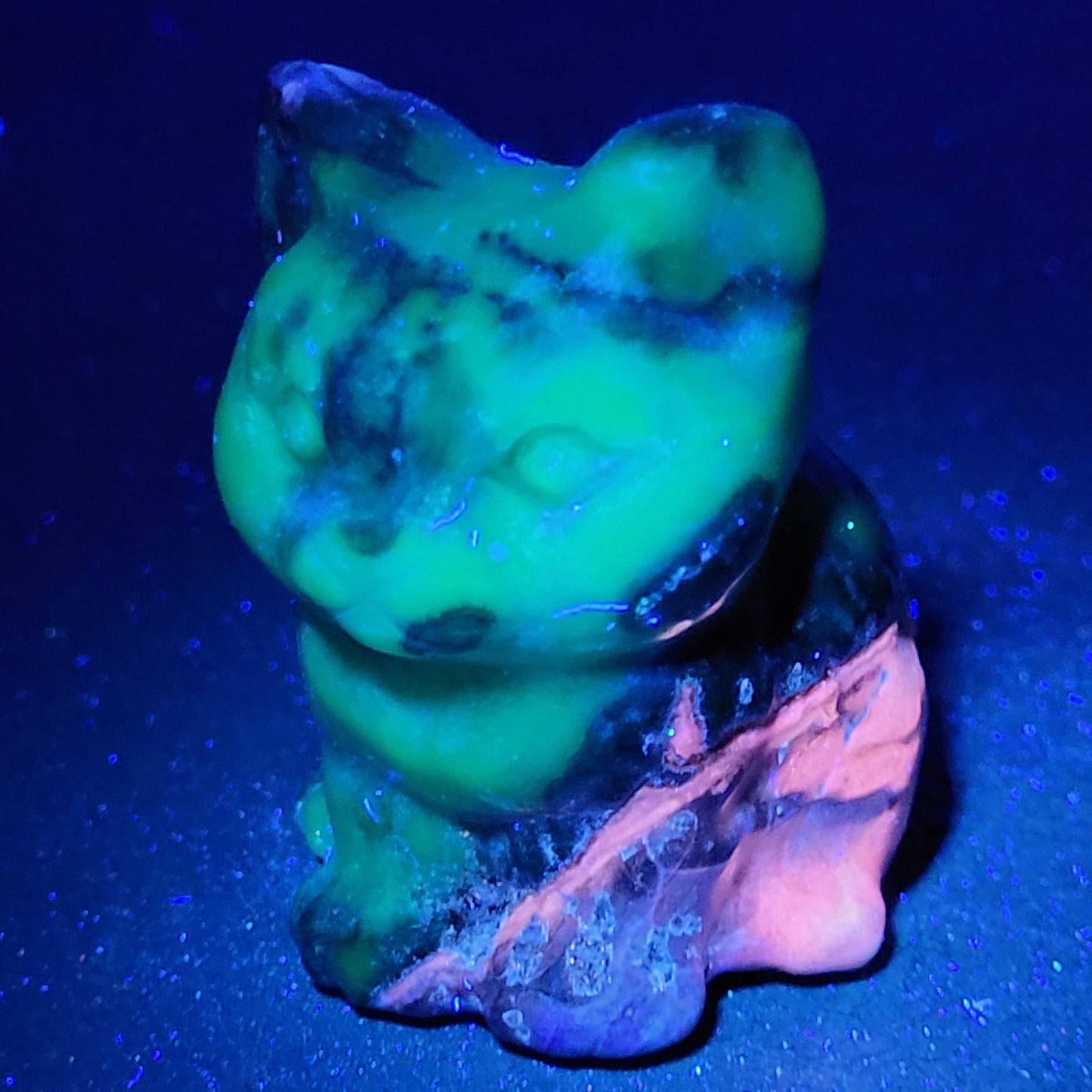 Cute cat/kitty sitting - Volcano Agate