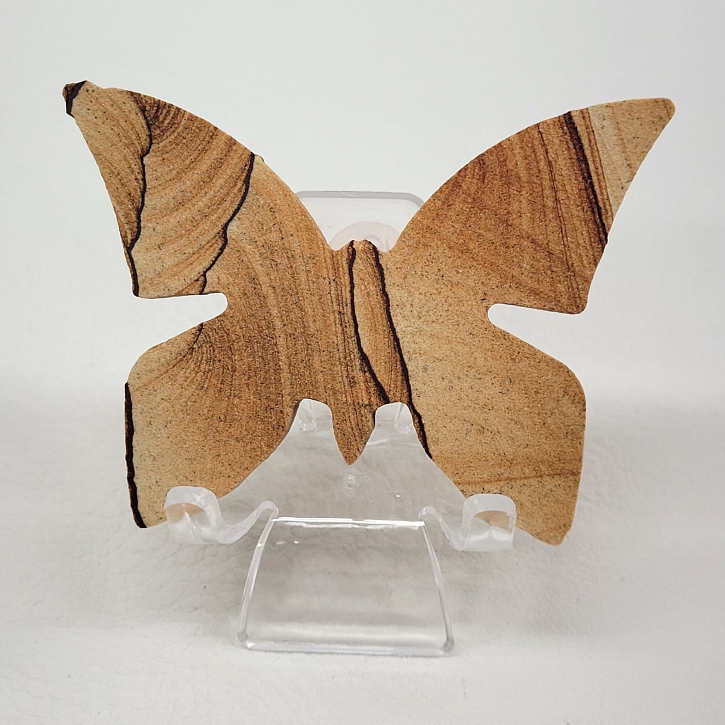 Butterfly - Picture Sandstone (Arizona Sierra)