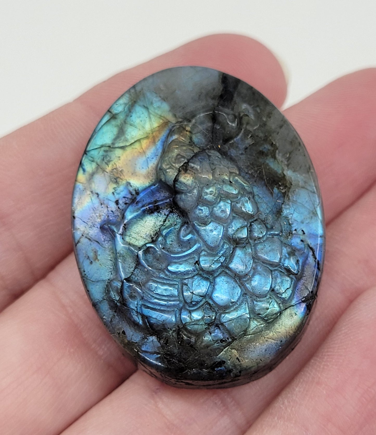 Peacock coin - Labradorite