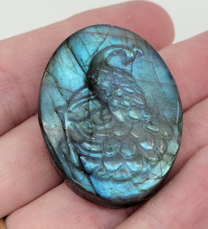 Peacock coin - Labradorite