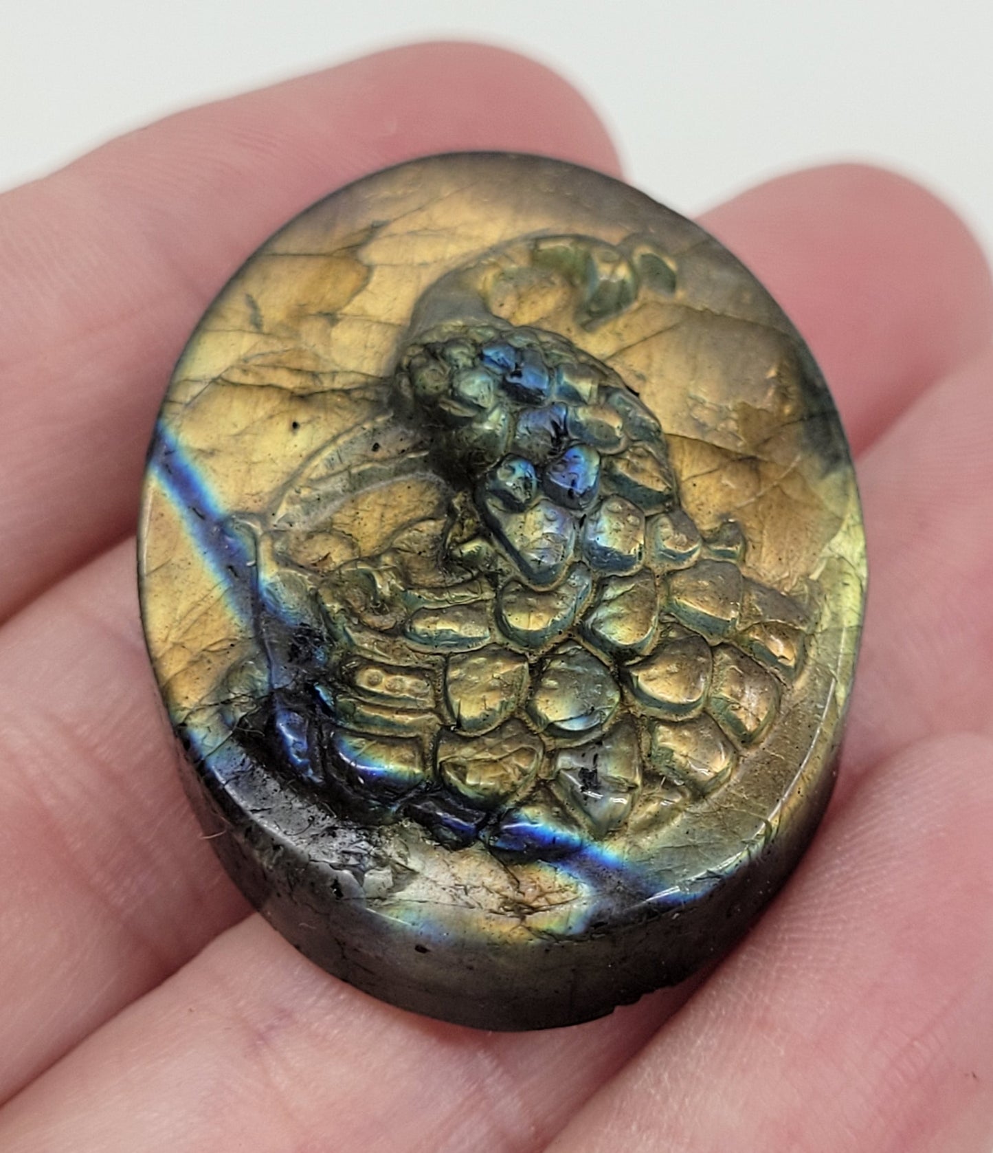 Peacock coin - Labradorite