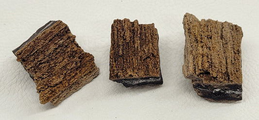 Permineralized wood