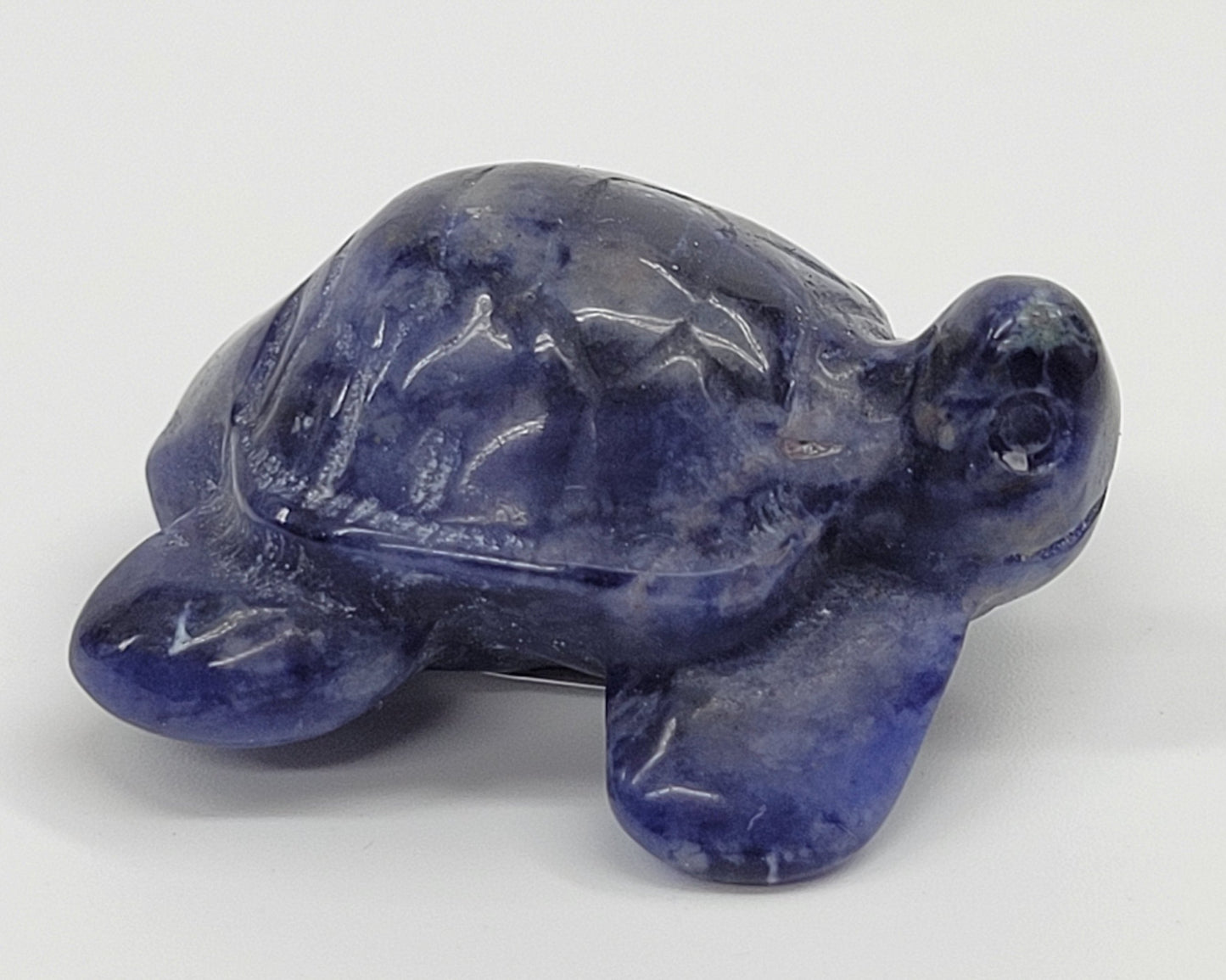 Turtle - various materials (small)