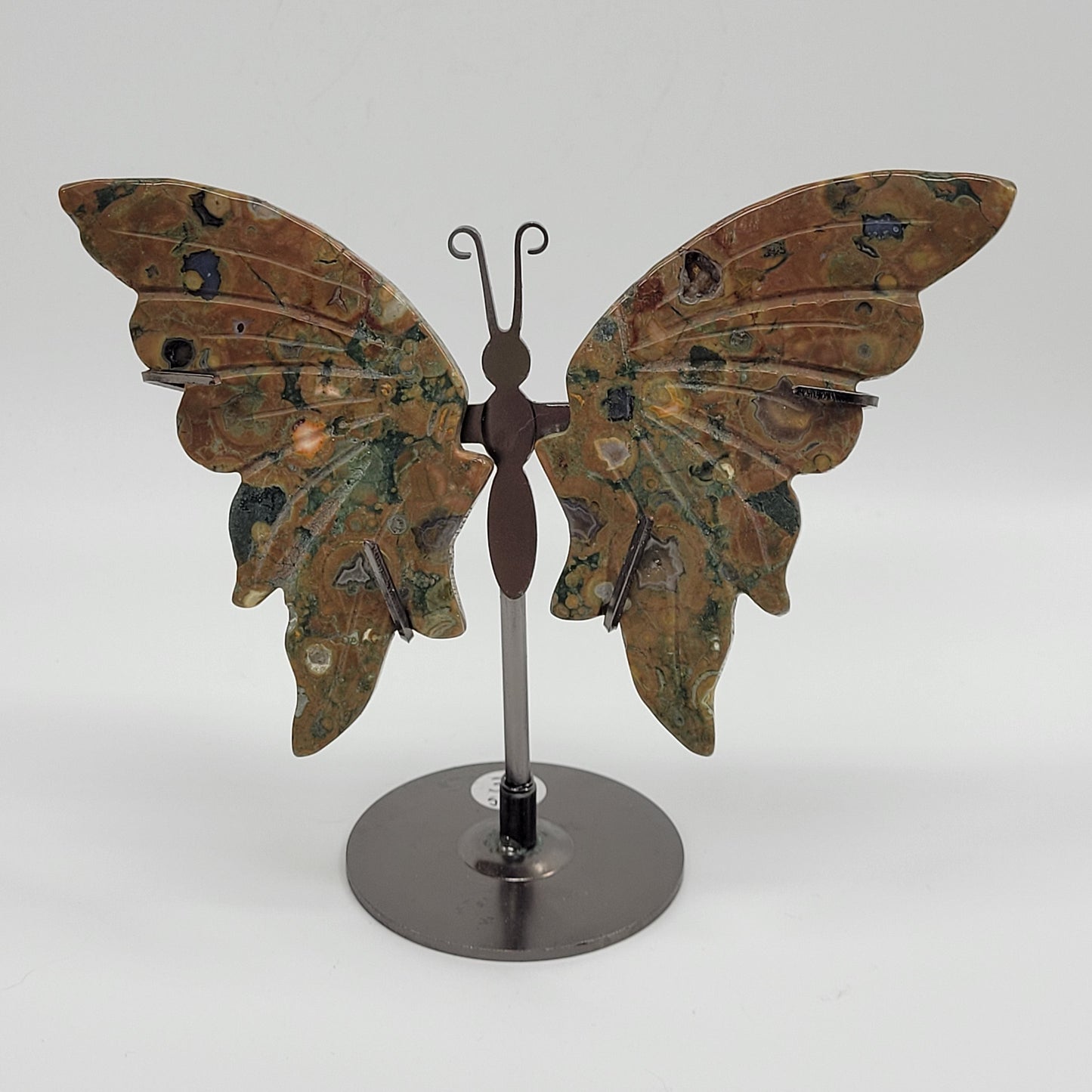 Wings - Rainforest Jasper butterfly