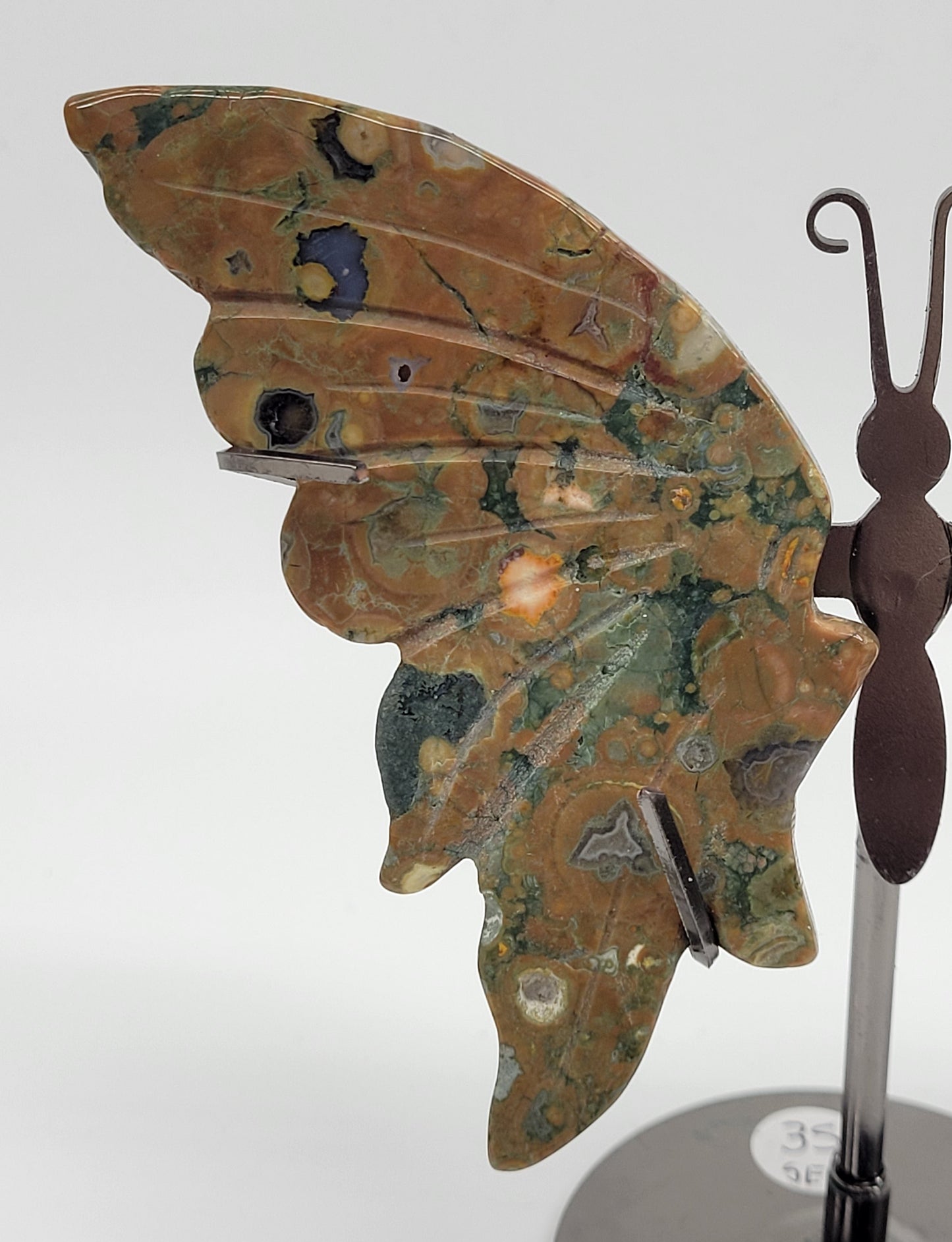 Rainforest Jasper butterfly wings