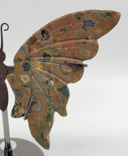 Rainforest Jasper butterfly wings