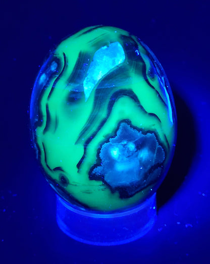 Dragon/dino egg - Volcano Agate (large)