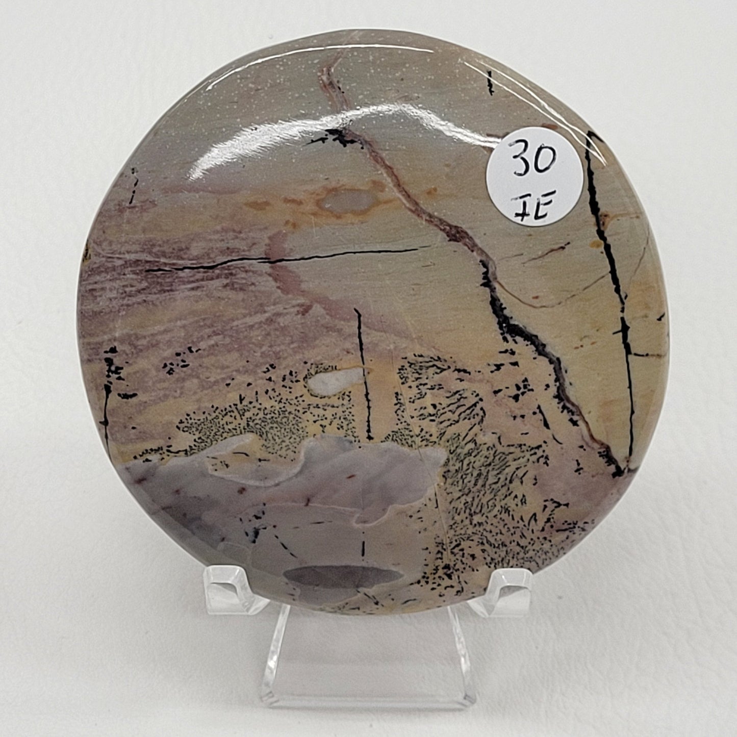 Picture Jasper coasters/rounds