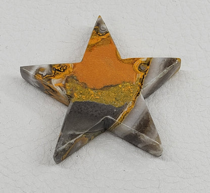 Bumblebee Jasper star