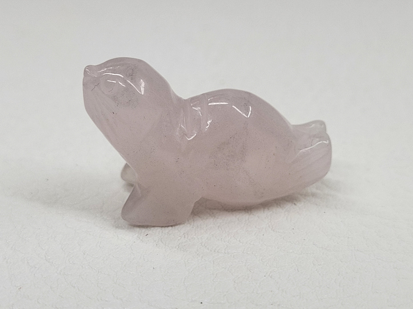 Seal carvings - mini/small