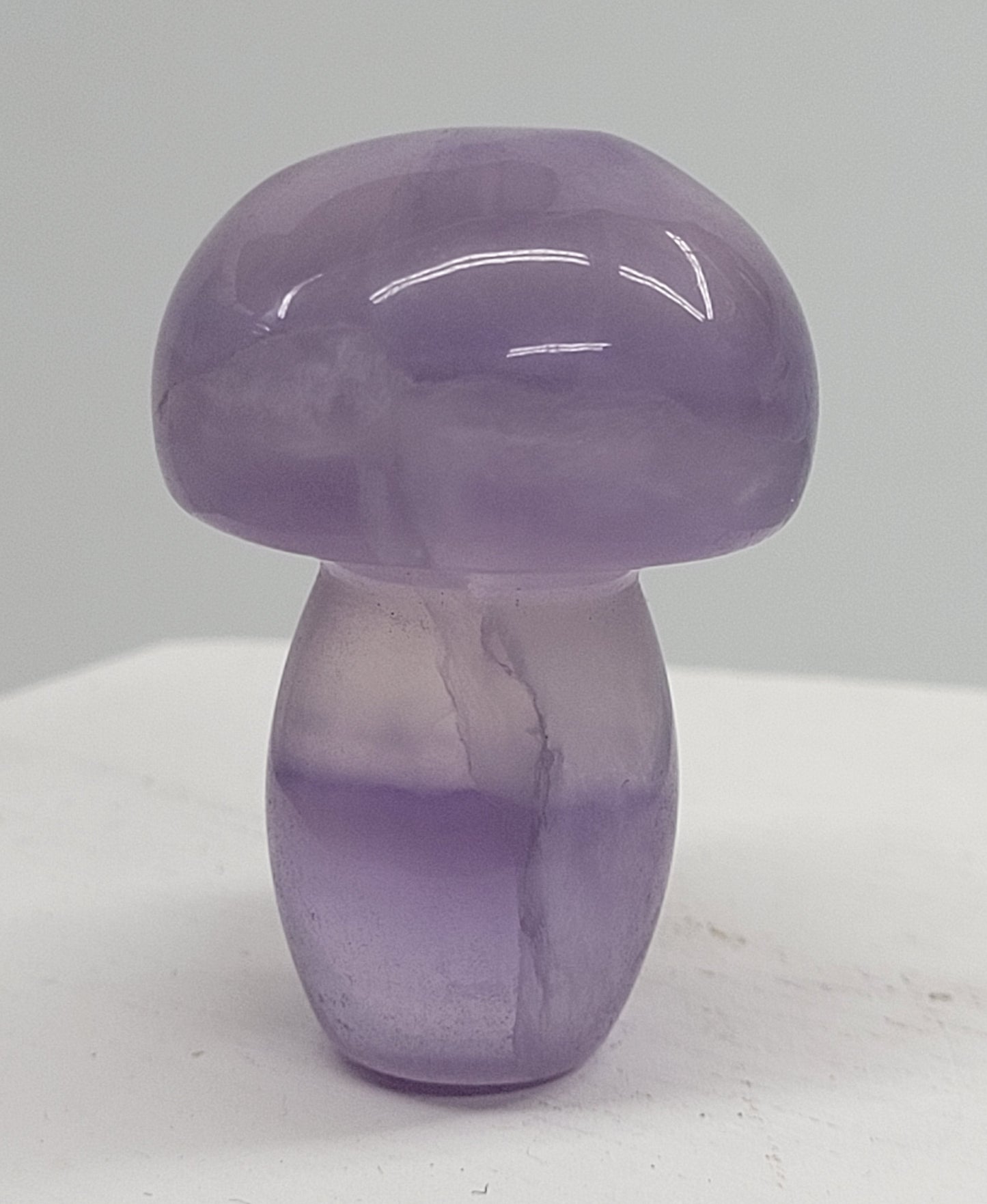 Mushroom (small/medium)