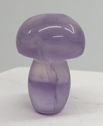 Mushroom (small/medium)