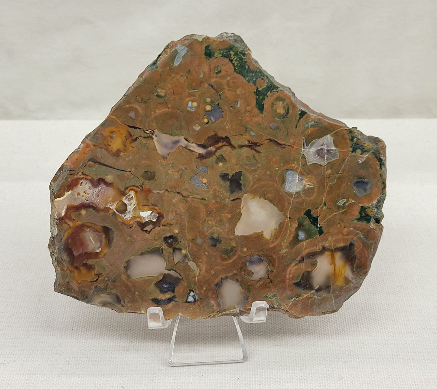 Slab - Rainforest Jasper