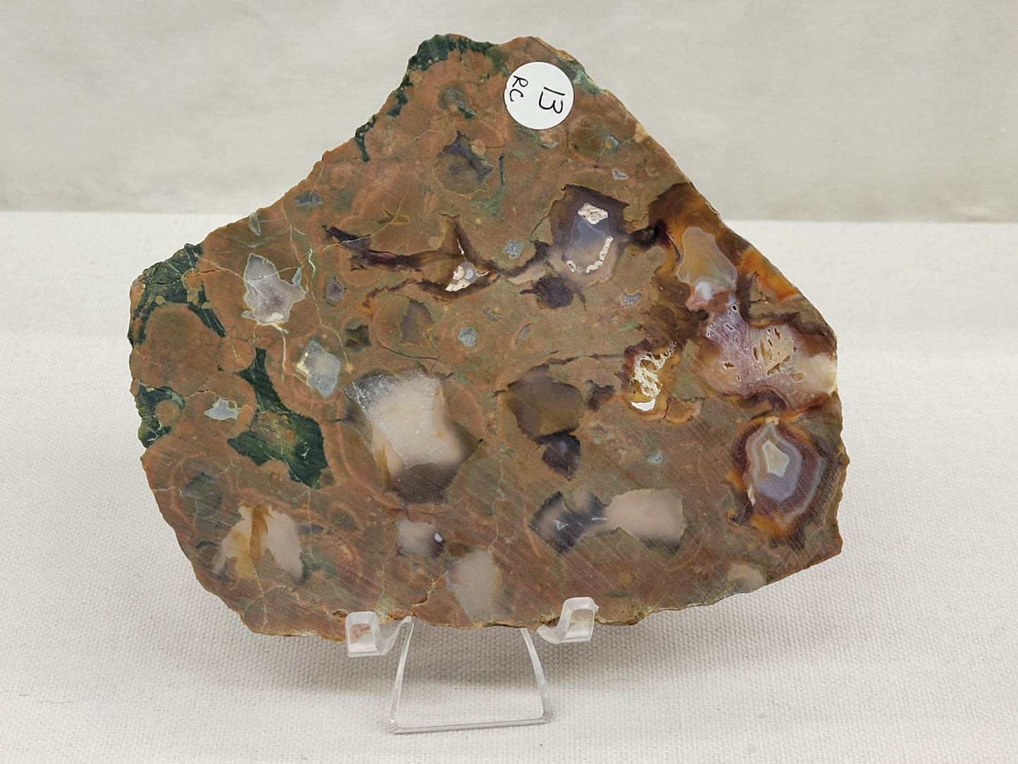 Slab - Rainforest Jasper