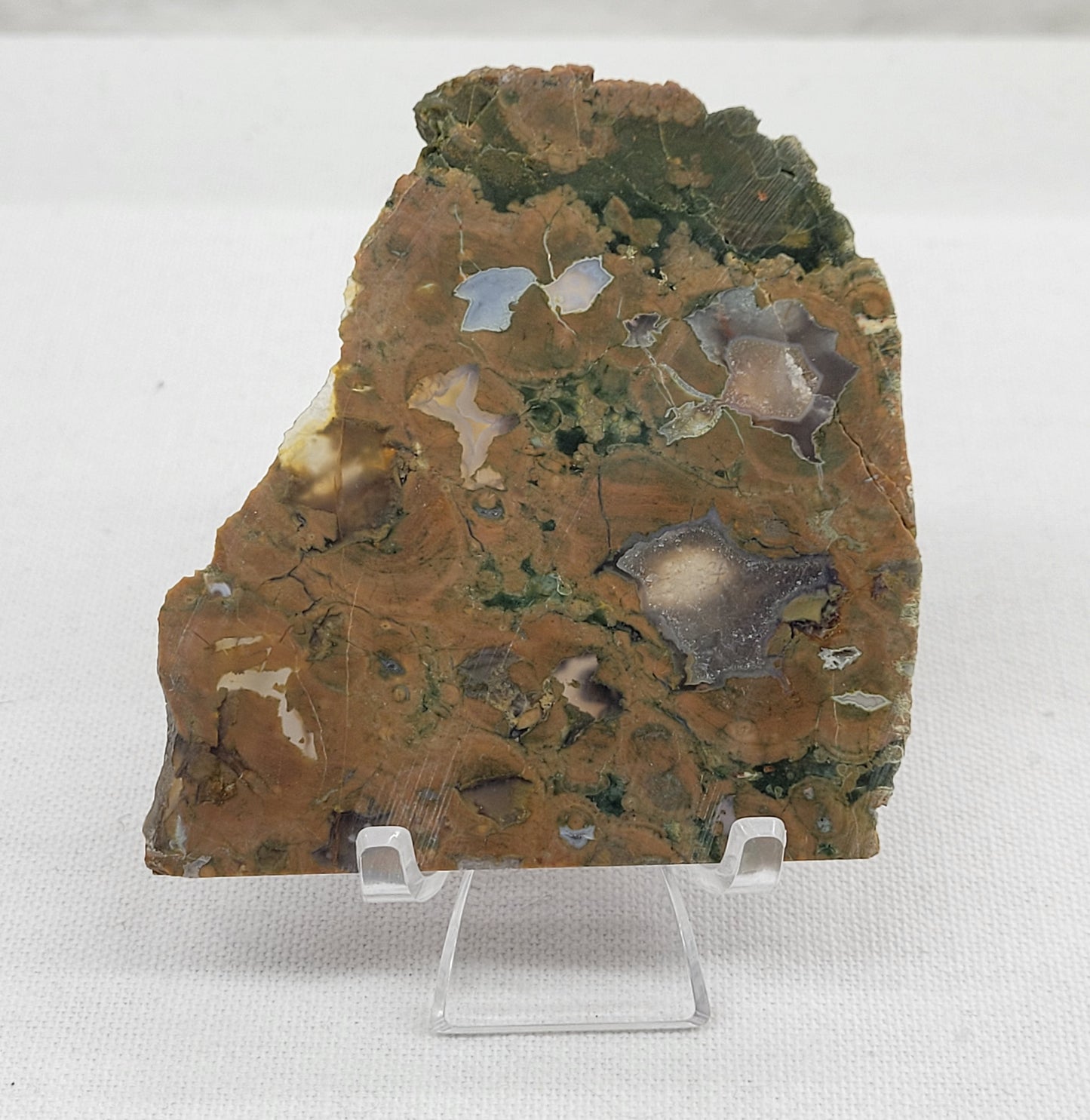 Rainforest Jasper slab