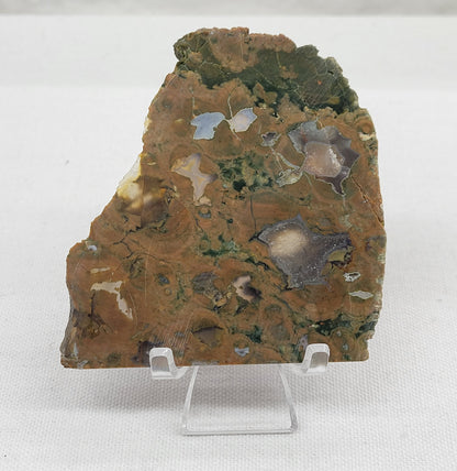 Slab - Rainforest Jasper