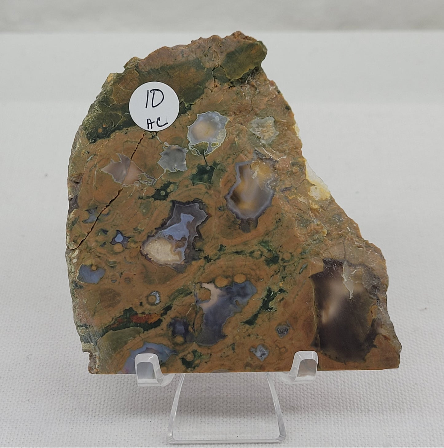 Rainforest Jasper slab