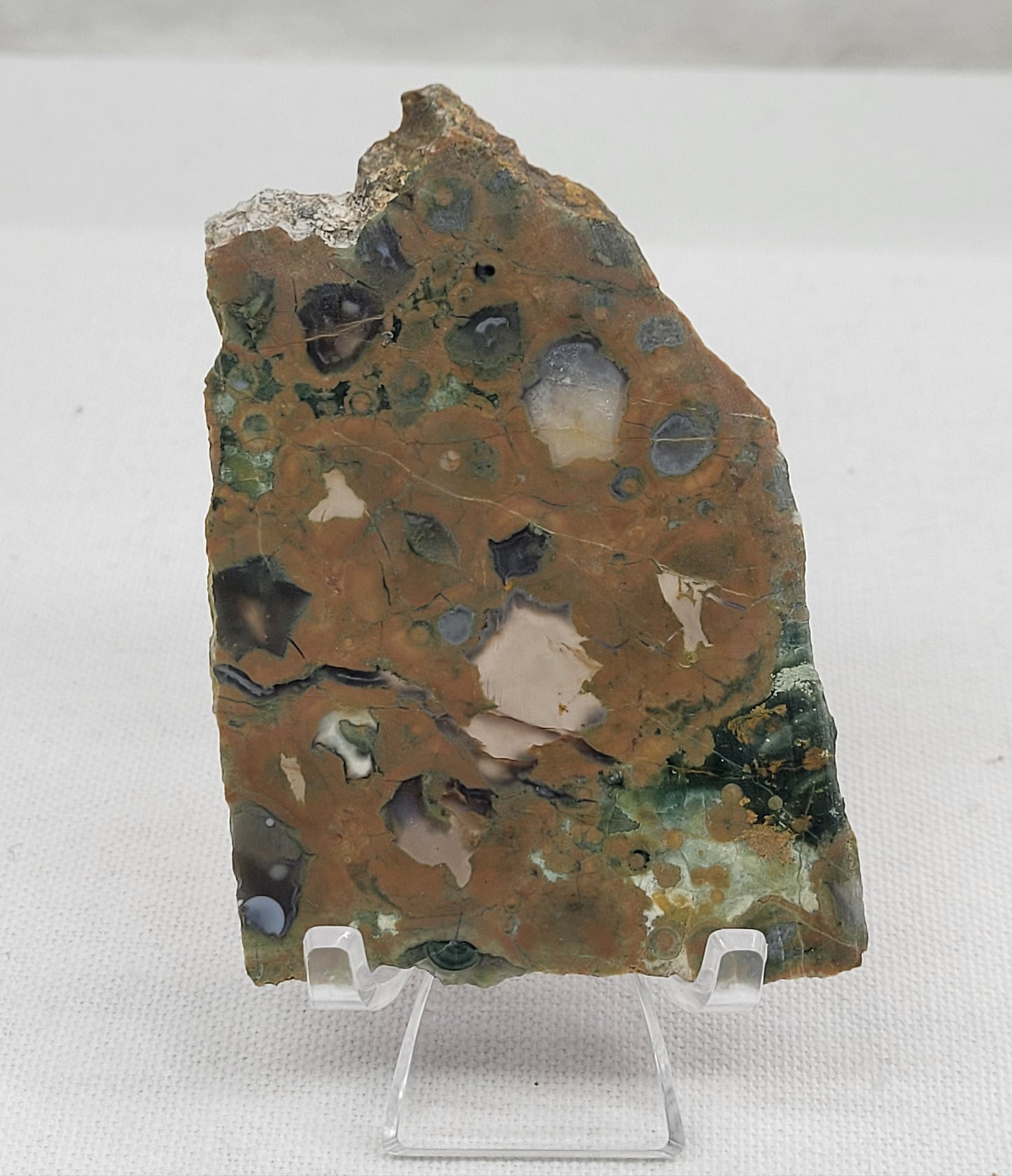 Rainforest Jasper slab