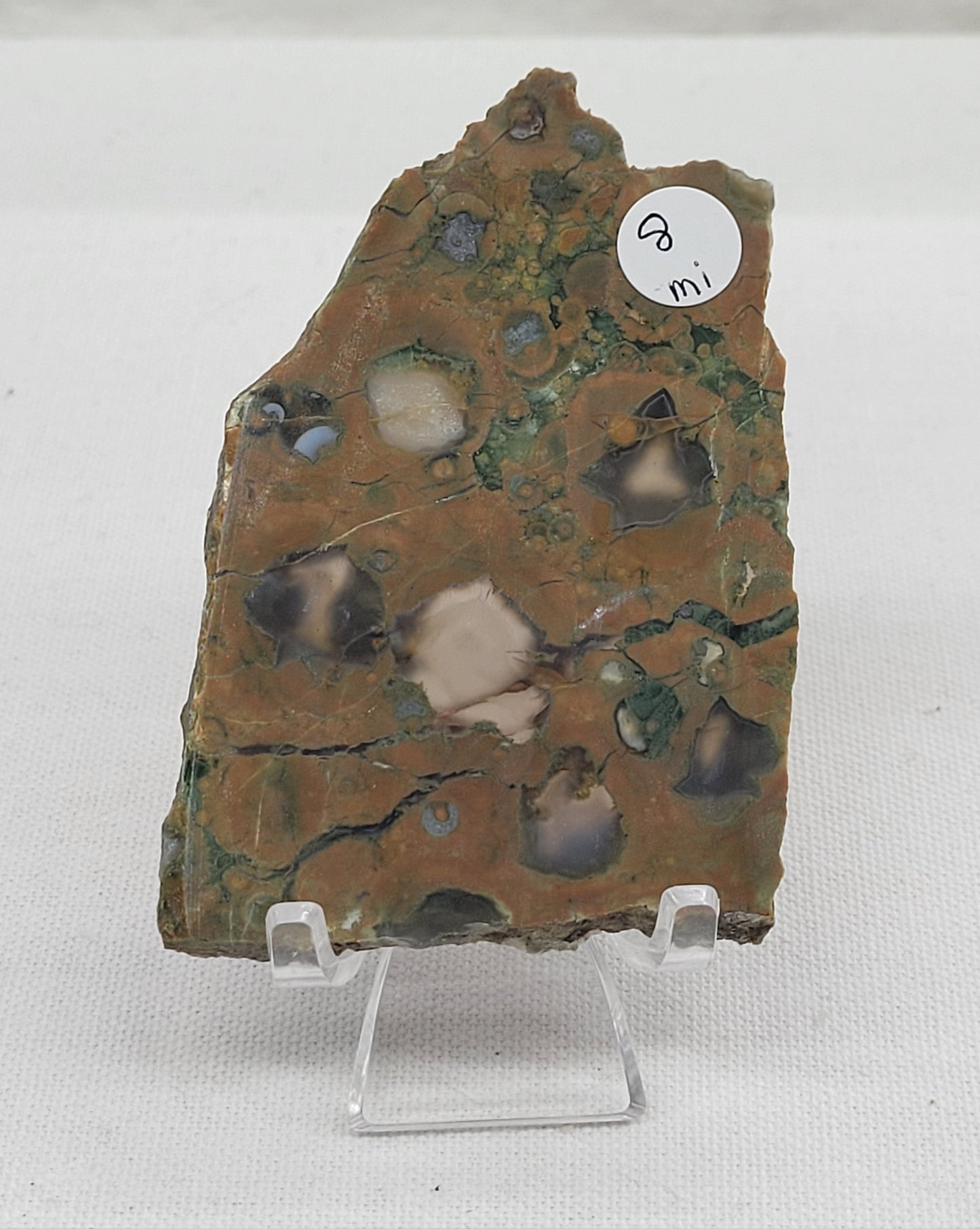 Slab - Rainforest Jasper