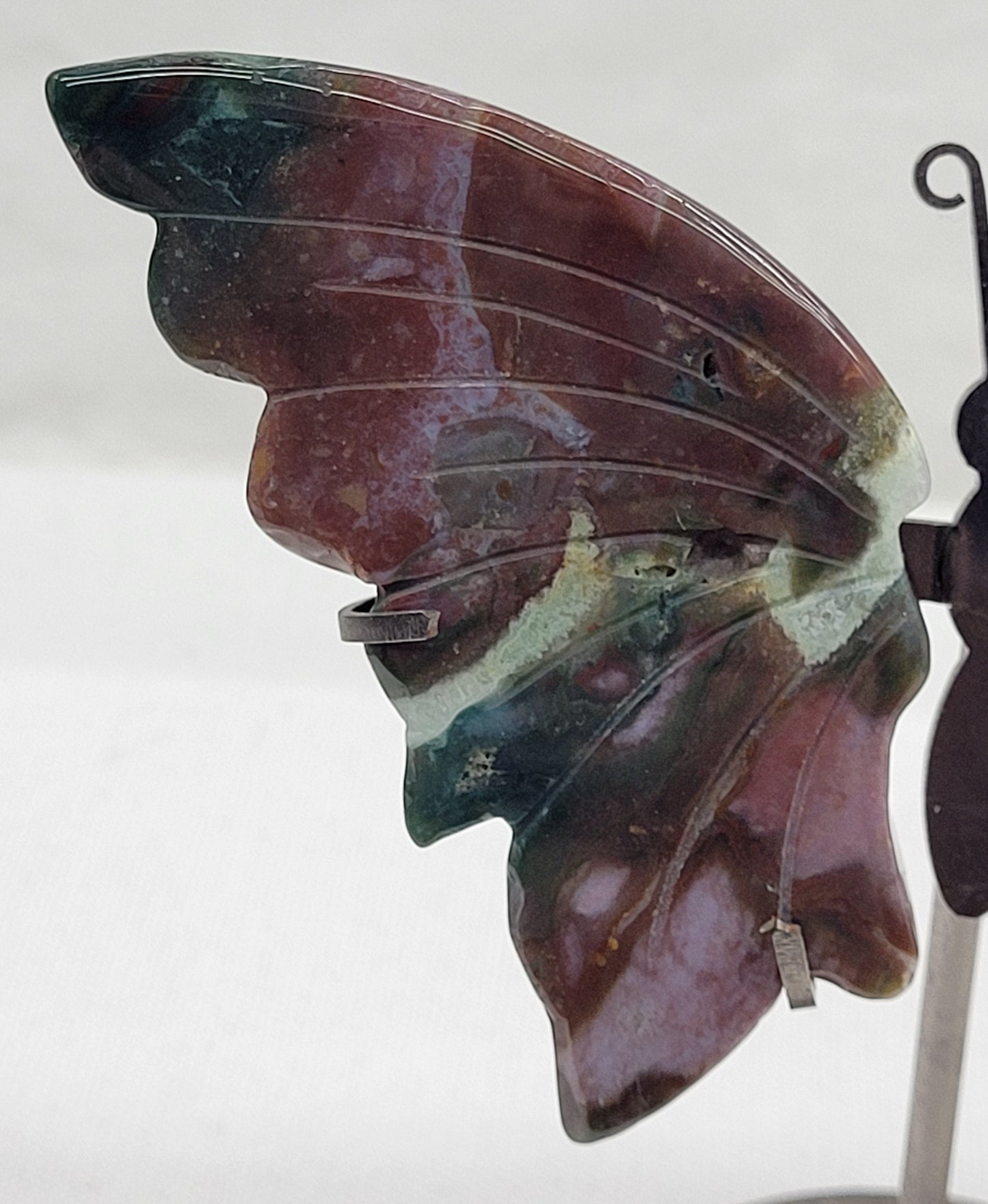 Ocean Jasper butterfly wings