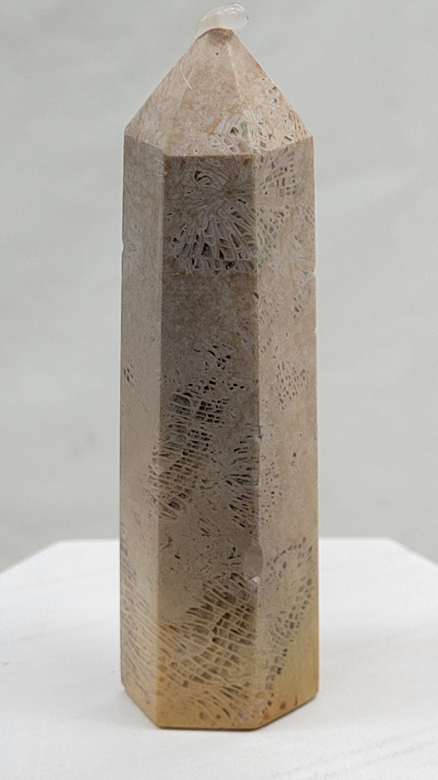 Fossil Coral Jasper tower