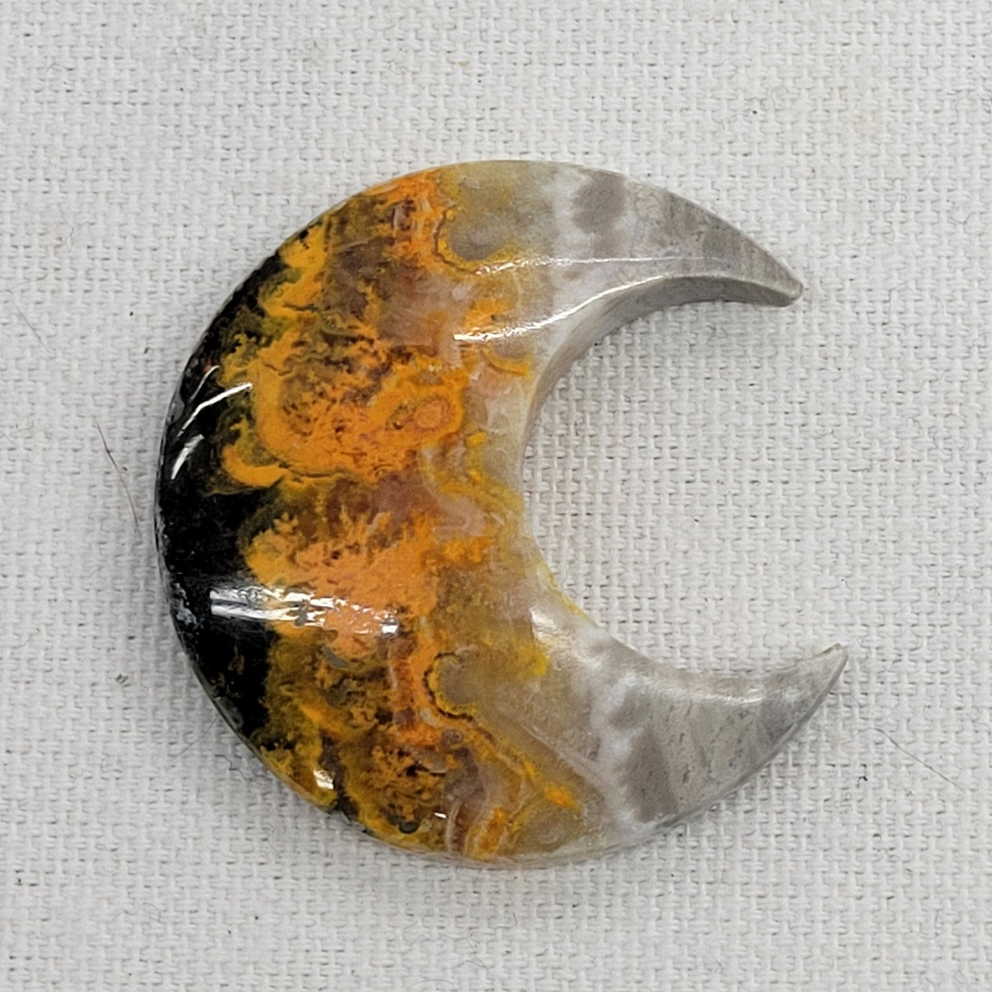 Bumblebee Jasper moon