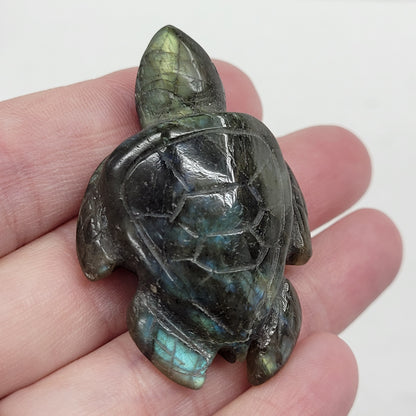 Turtle - Labradorite (medium)