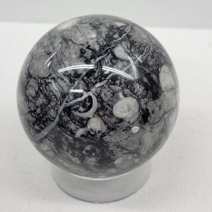 Fossil Shell Jasper sphere