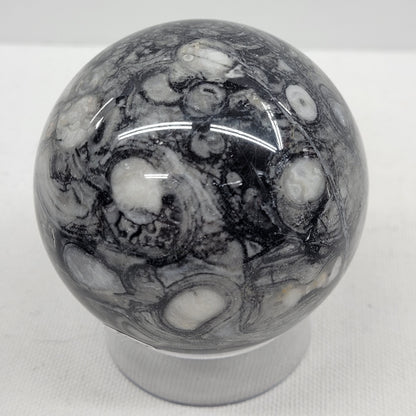 Fossil Shell Jasper sphere