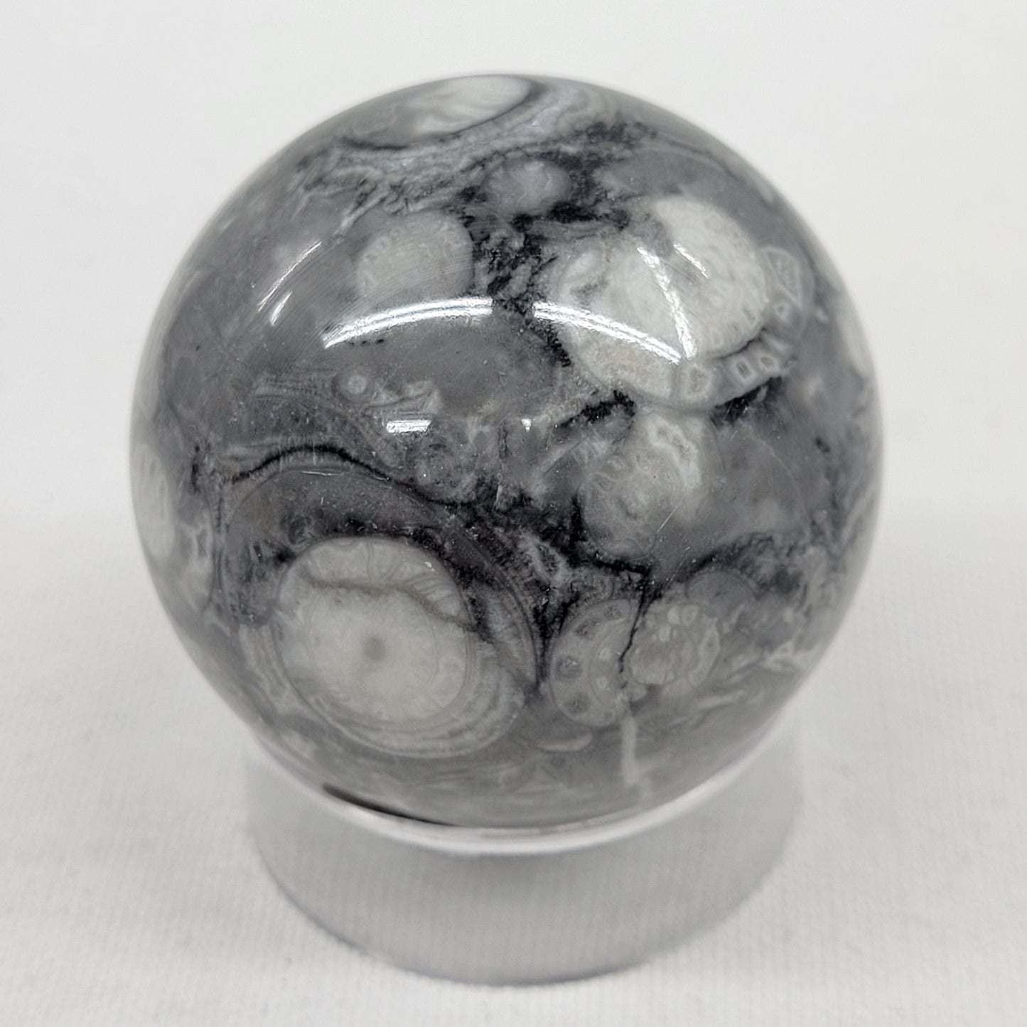 Fossil Shell Jasper sphere