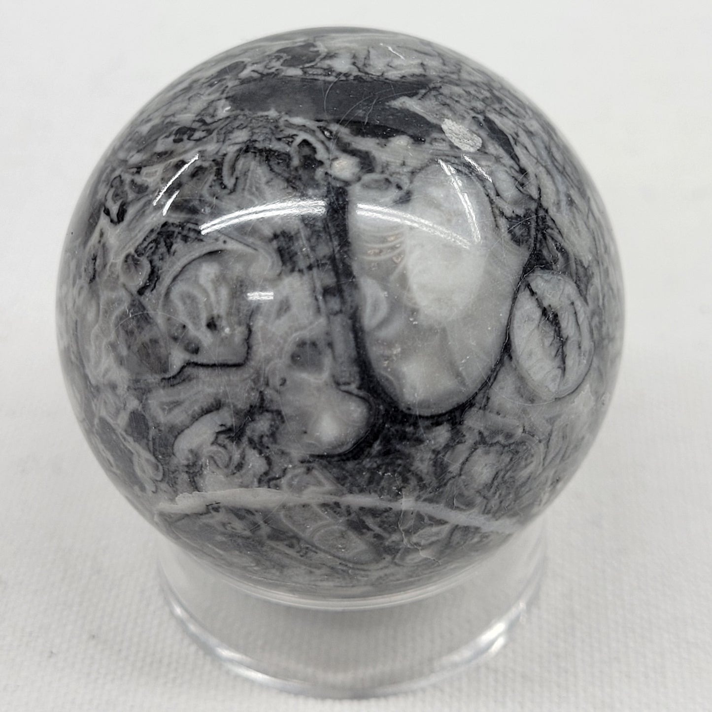 Fossil Shell Jasper sphere