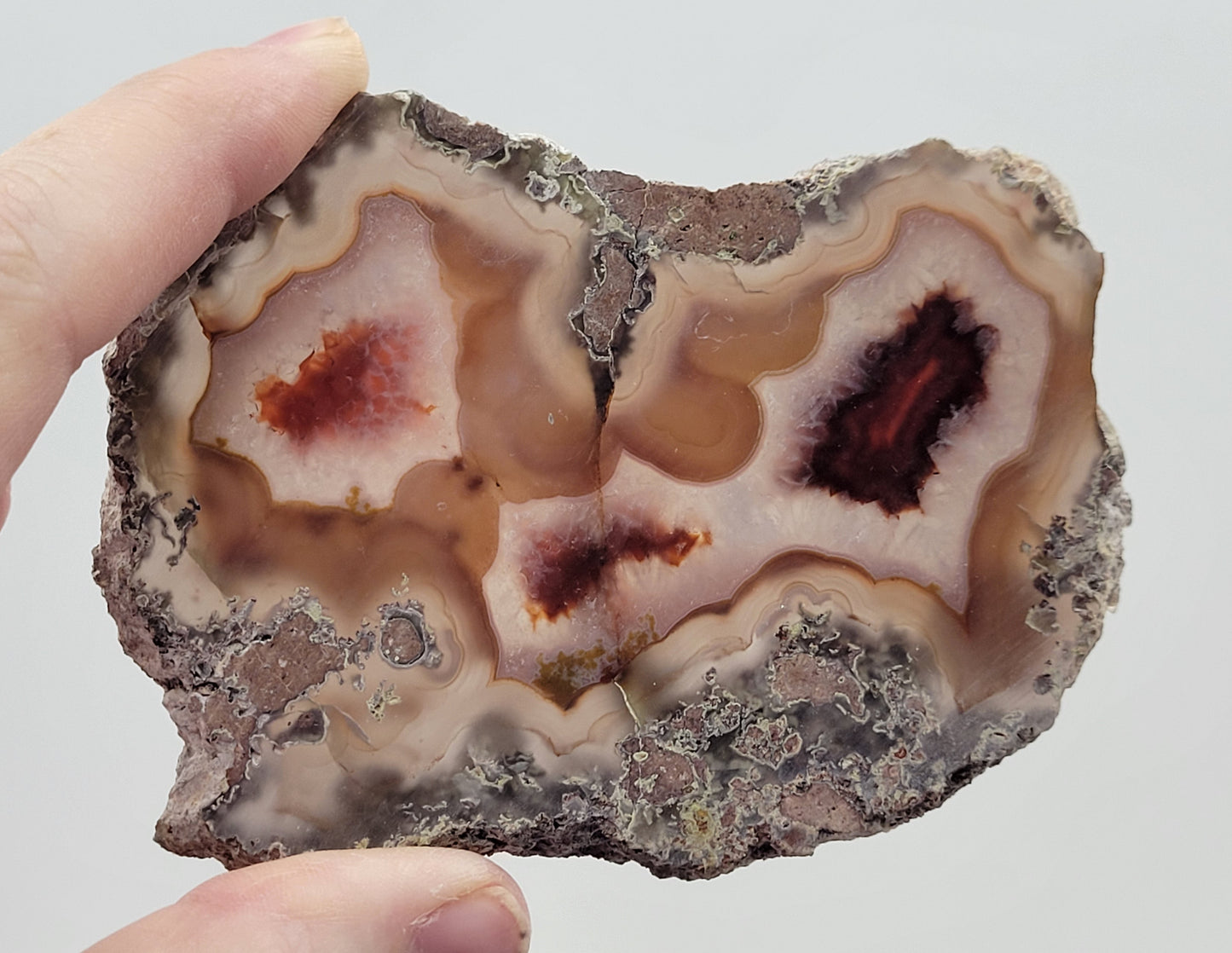 Laguna Agate slab