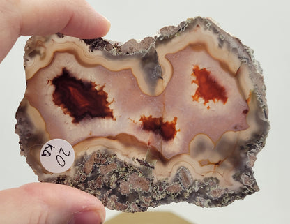 Laguna Agate slab