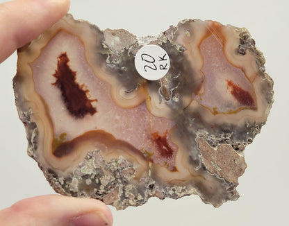 Laguna Agate slab