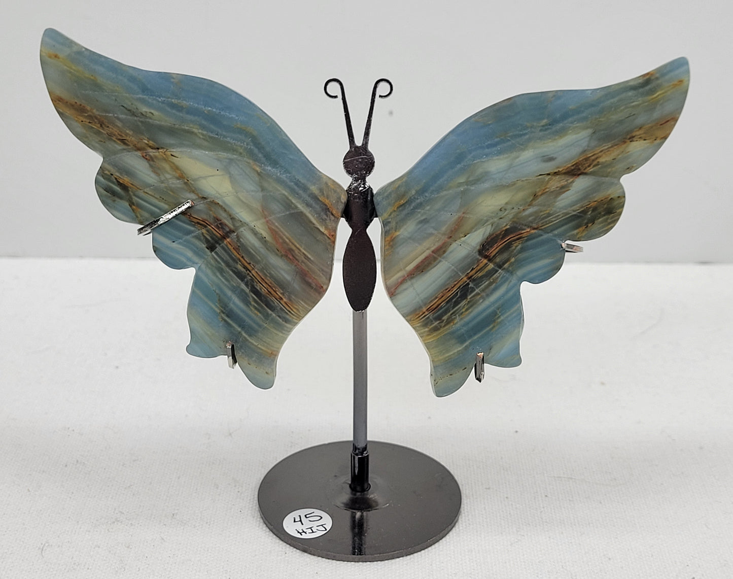 Blue Onyx butterfly wings