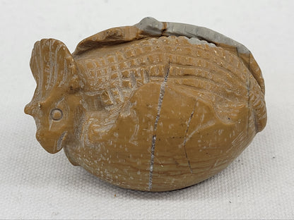 Triceratops in an egg