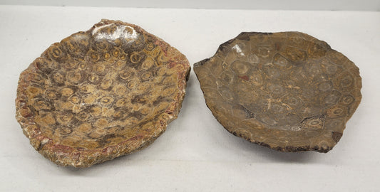 Fossil Coral bowl