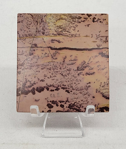 Slab - Picture Jasper