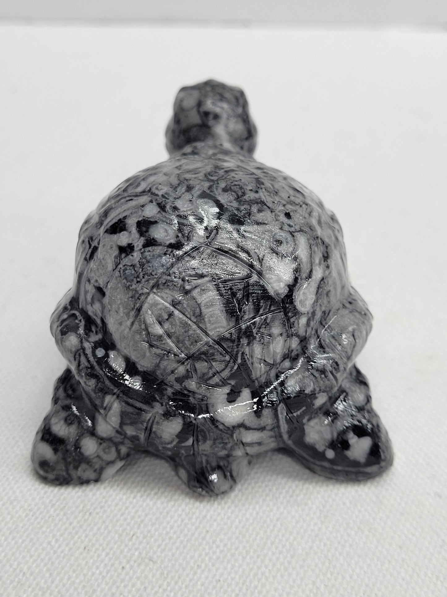 Fossil Shell Jasper turtle