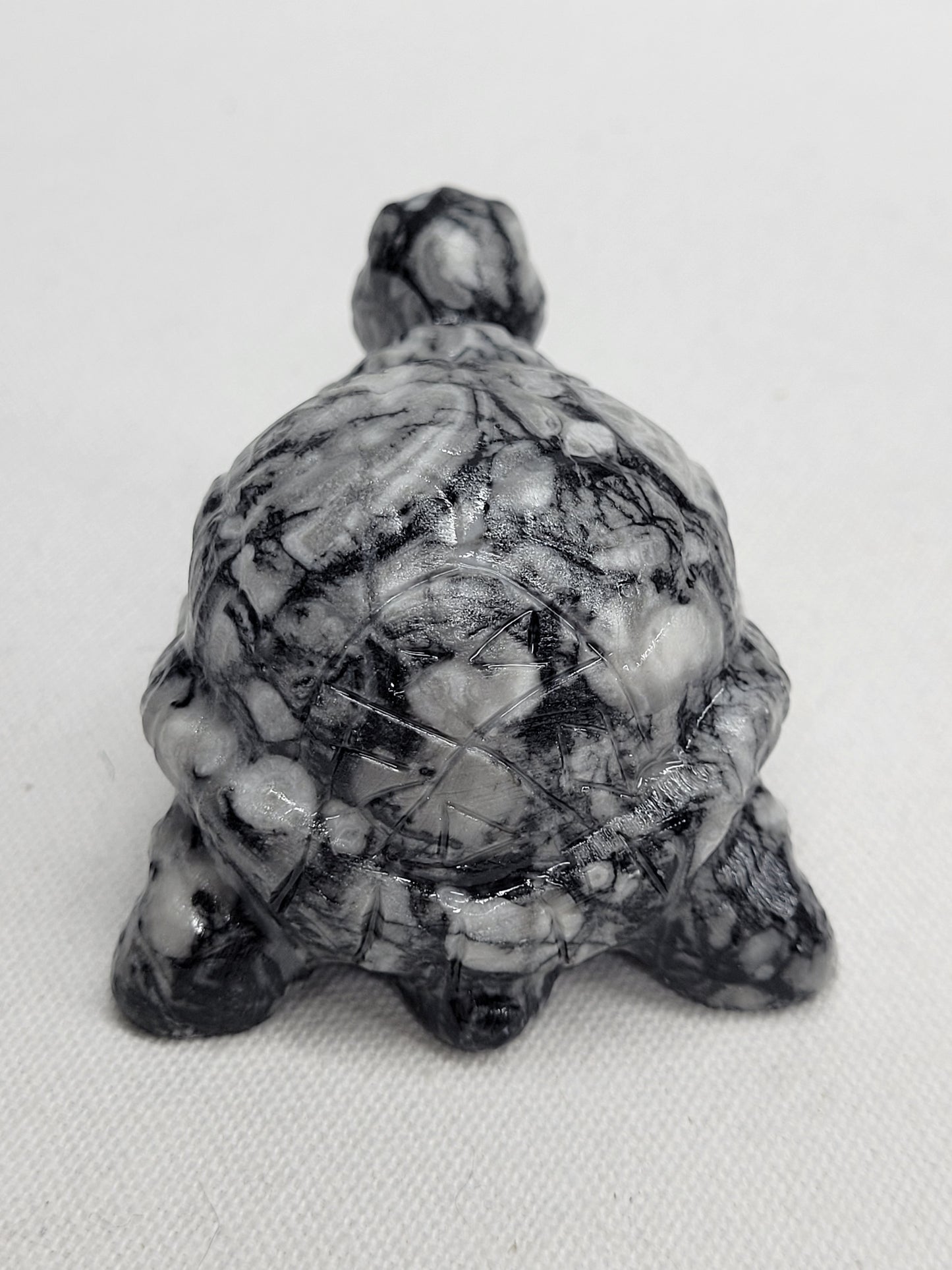 Fossil Shell Jasper turtle