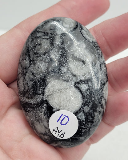 Palm - Fossil Shell Jasper