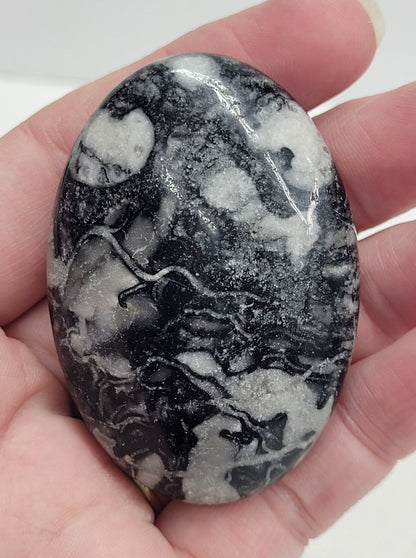 Palm - Fossil Shell Jasper