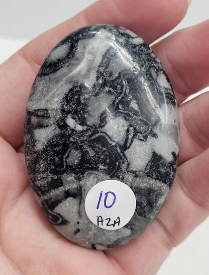 Palm - Fossil Shell Jasper