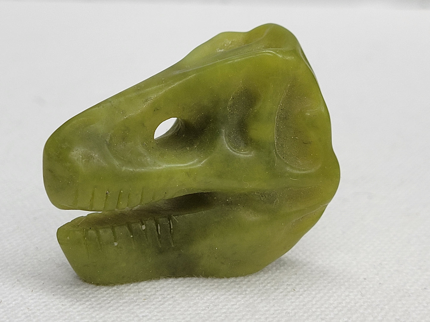 T-Rex skull carvings (S, M, L)