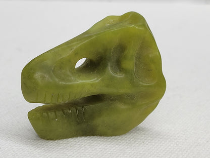 T-Rex skull carvings (S, M, L)