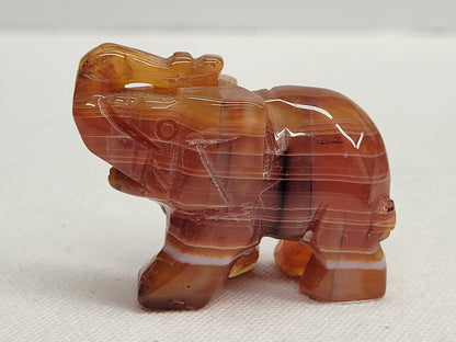 Carnelian elephant