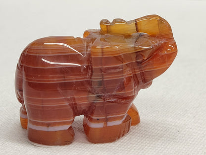 Carnelian elephant